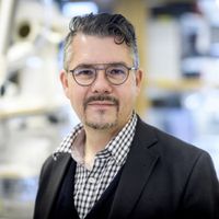 Erik Renström